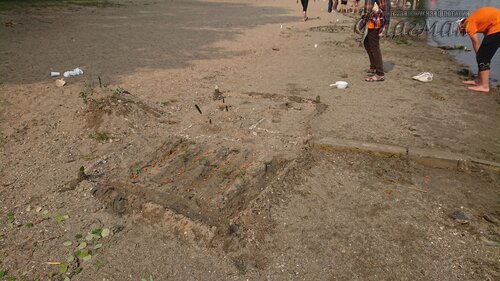 DSC_20220808111815_0248